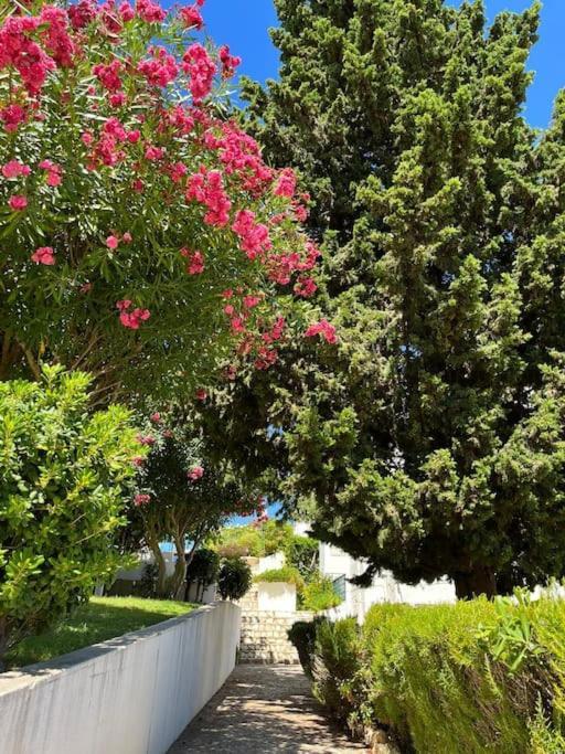 Casa Oliveira - Algarve Apartment Porches  Ngoại thất bức ảnh