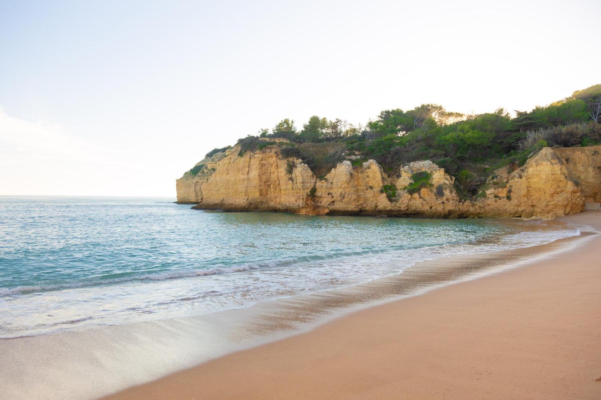 Casa Oliveira - Algarve Apartment Porches  Ngoại thất bức ảnh
