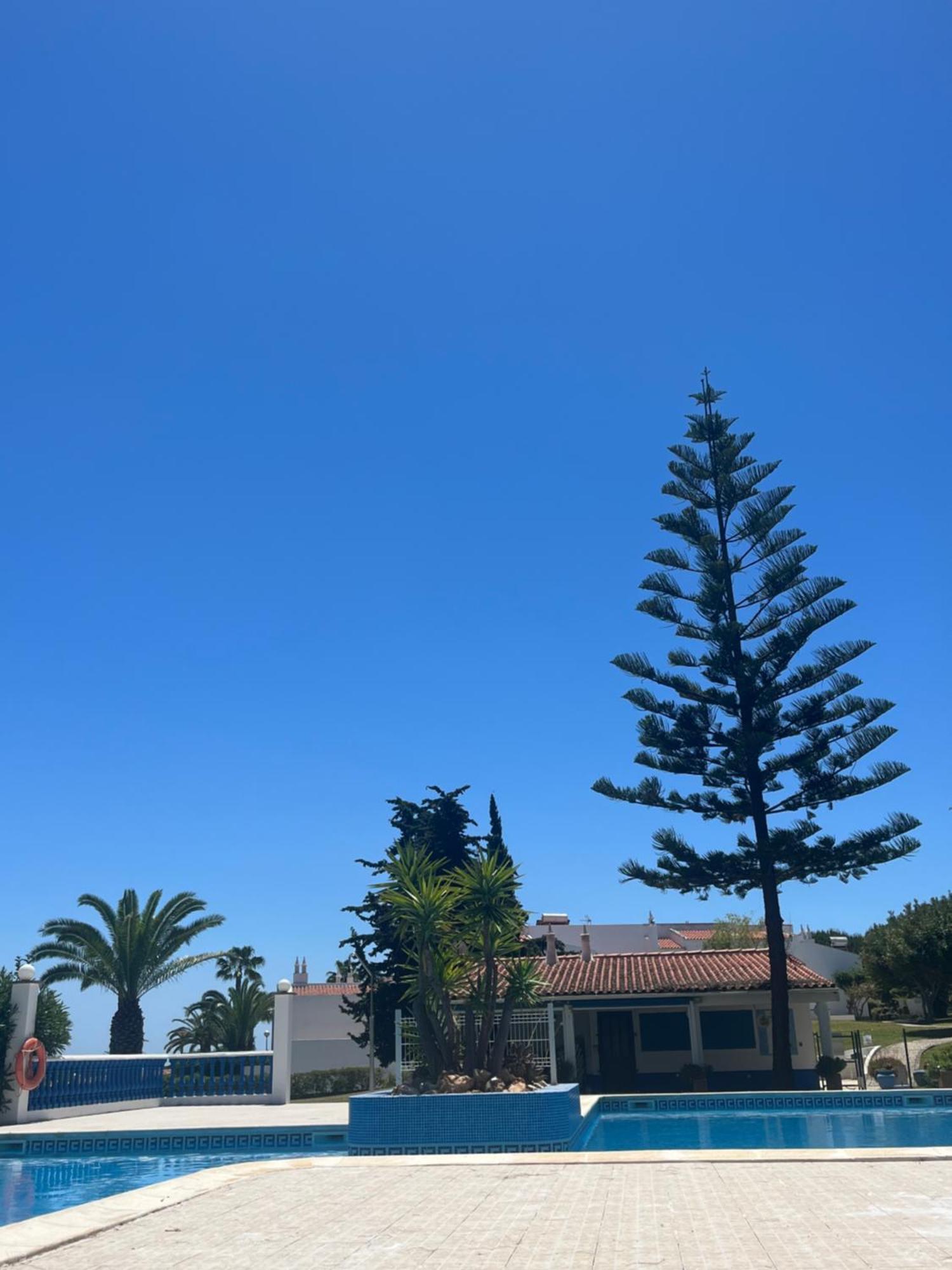 Casa Oliveira - Algarve Apartment Porches  Ngoại thất bức ảnh